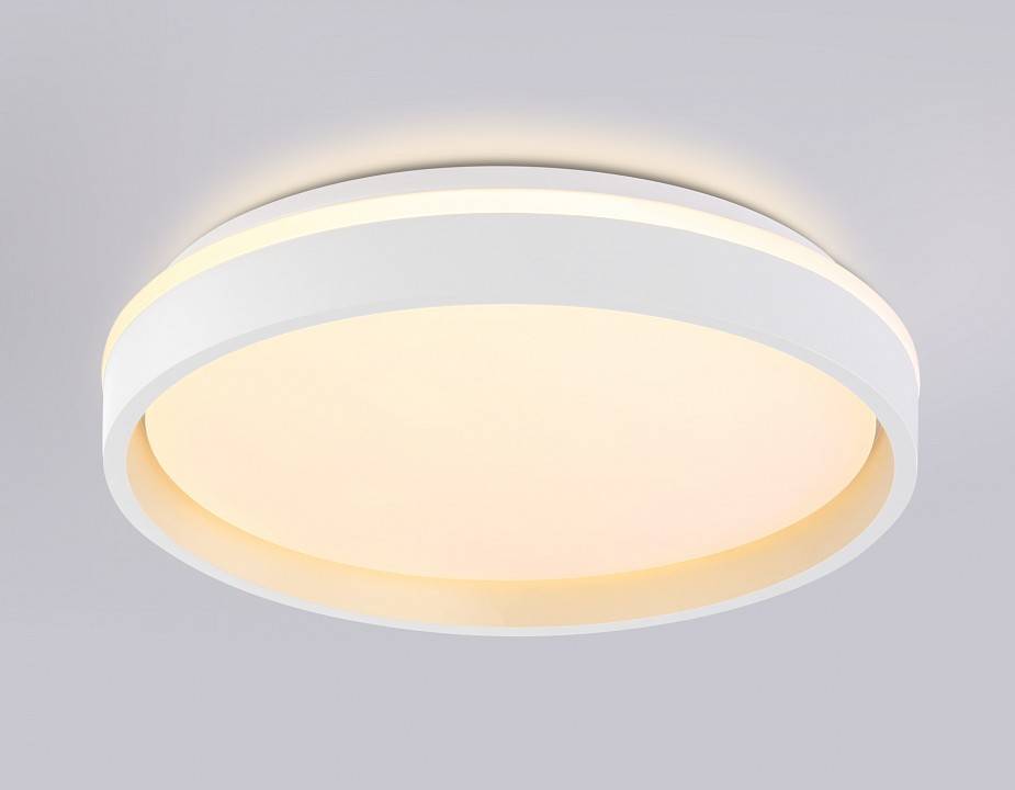 Накладной светильник Ambrella Light FZ FZ601