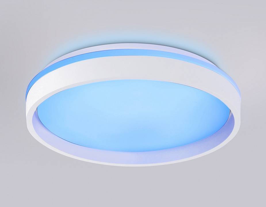 Накладной светильник Ambrella Light FZ FZ601