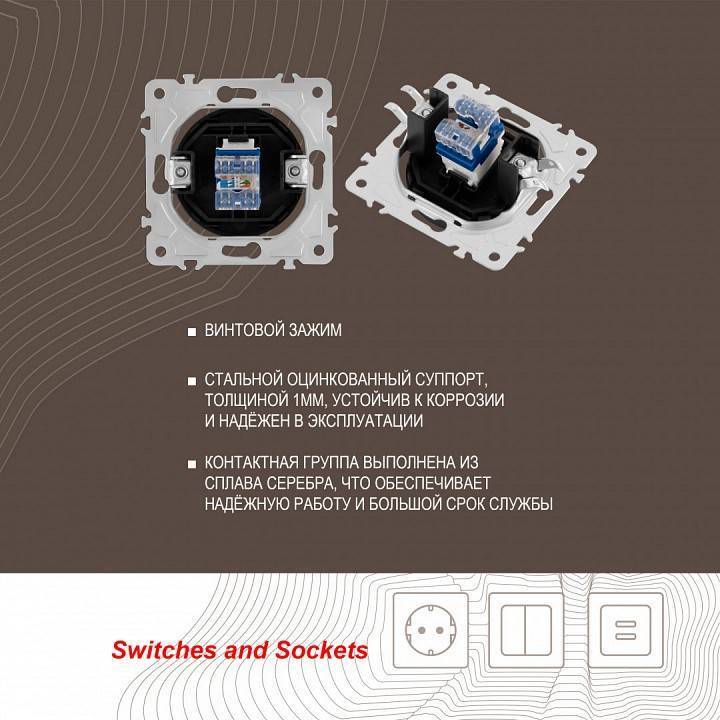 Розетка Ethernet RJ-45 без рамки Arte Milano am-202 202.45-1.shampan