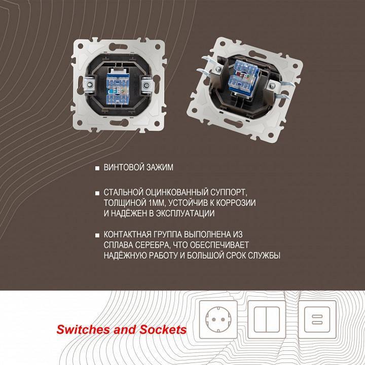 Розетка Ethernet RJ-45 без рамки Arte Milano am-203 203.45-1.shampan