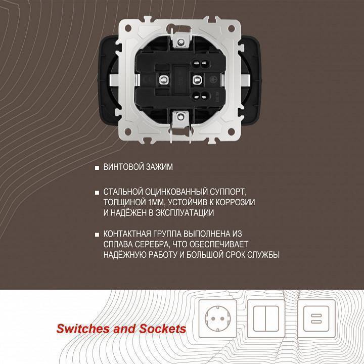 Розетка двойная с заземлением, без рамки Arte Milano am-205 205.40-2.black