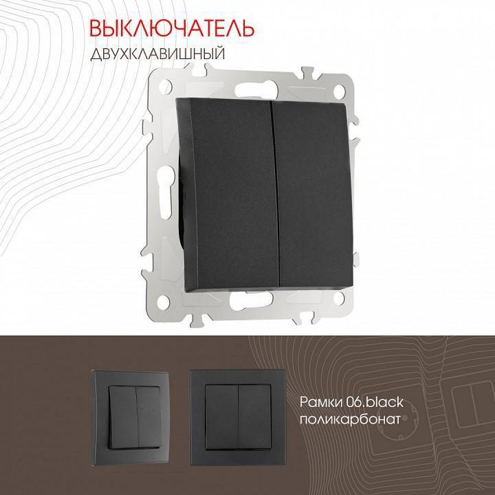 Выключатель двухклавишный без рамки Arte Milano 206 206.30-2.black