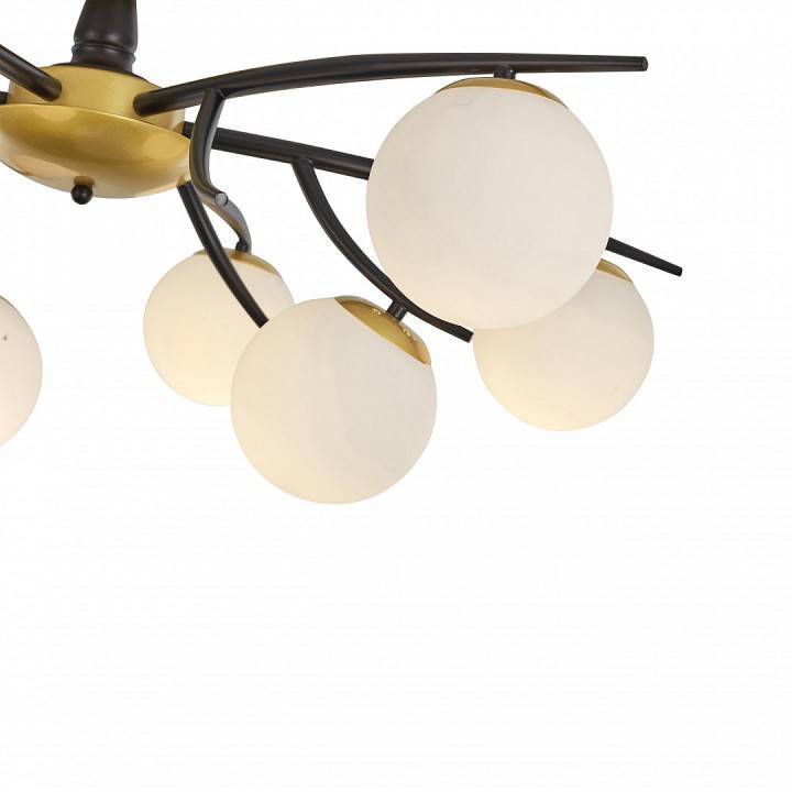 Люстра на штанге Arte Milano Neapolis 273408/9 BK/GD