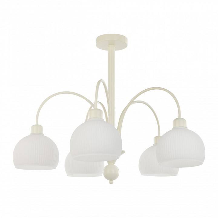 Люстра на штанге Arte Milano AM-Napoli 5 ламп D700 слоновая кость 313066/D700/5 IV