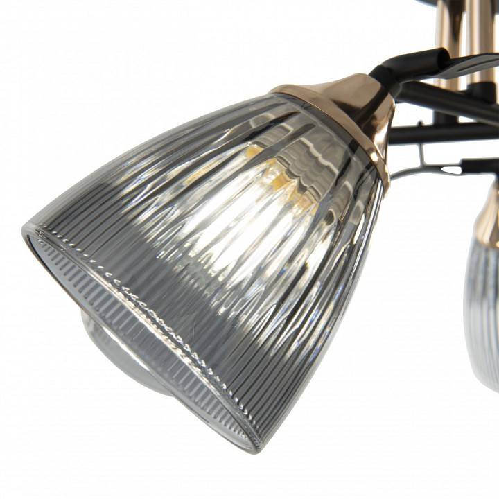 Потолочная люстра Arte Milano AMALFI 5 ламп 322610/5 BK+FG