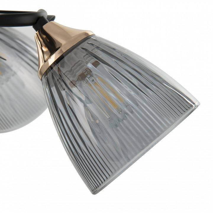 Потолочная люстра Arte Milano AMALFI 5 ламп 322610/5 BK+FG