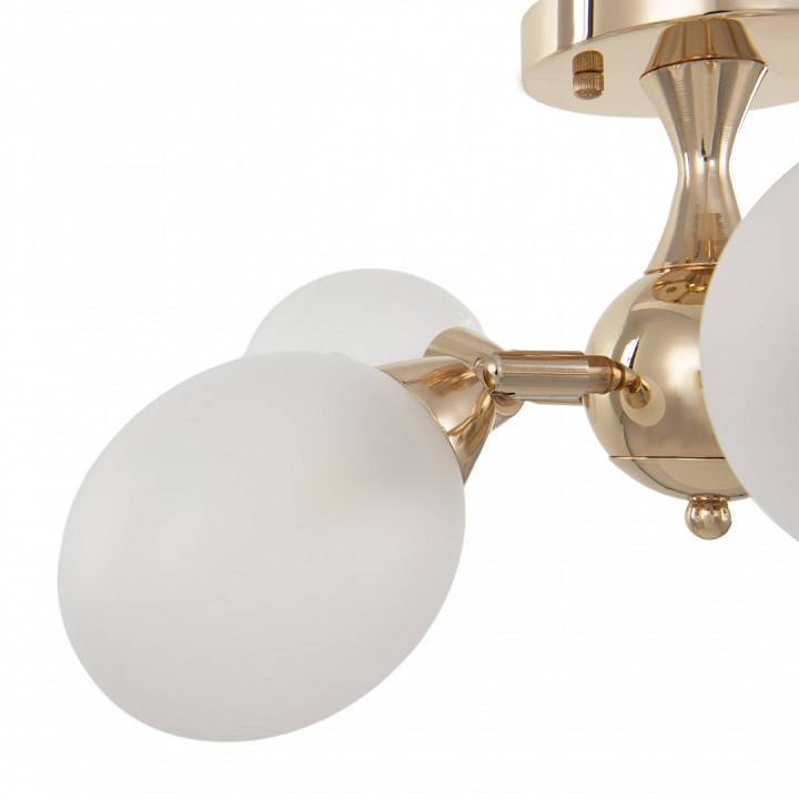 Люстра на штанге Arte Milano Napoli 5 ламп 332420/5 FGD