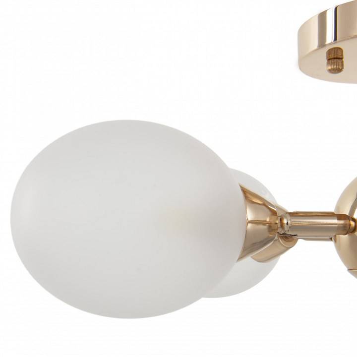 Люстра на штанге Arte Milano Napoli 5 ламп 332420/5 FGD