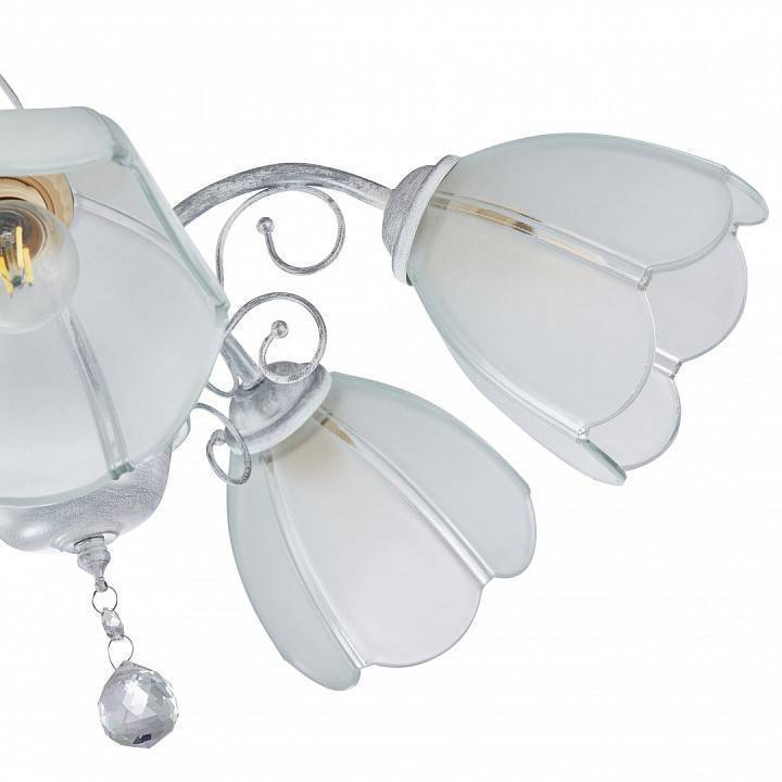 Подвесная люстра Arte Milano Amalfi-2656 5xE14 332656/5 WT+SL