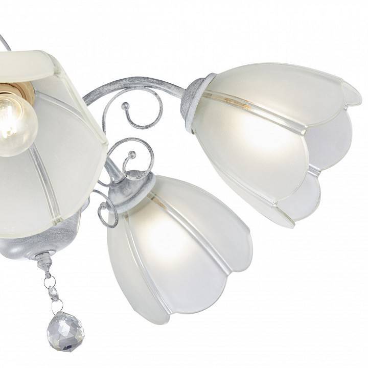 Подвесная люстра Arte Milano Amalfi-2656 5xE14 332656/5 WT+SL