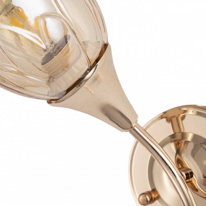 Бра Arte Milano Napoli 6366 1 лампа 336366/1W FGD