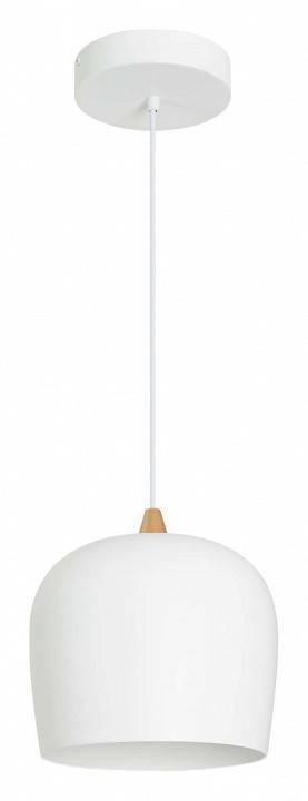 Подвесной светильник Arlight PEONY 39548