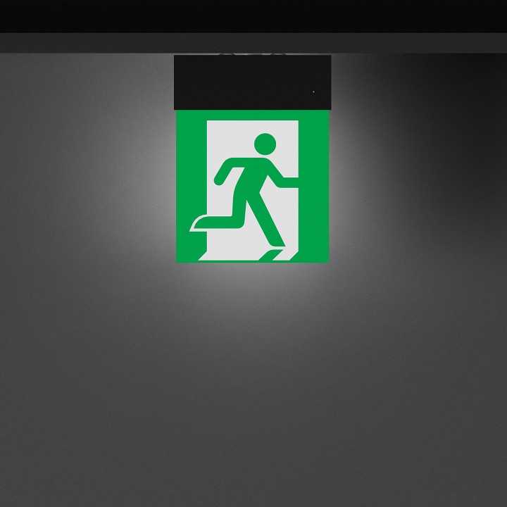 Светильник-указатель Arlight EMG-MARK 059801