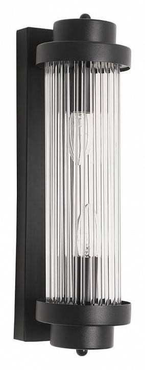 Накладной светильник Arte Lamp Hanna A1070AP-2BK