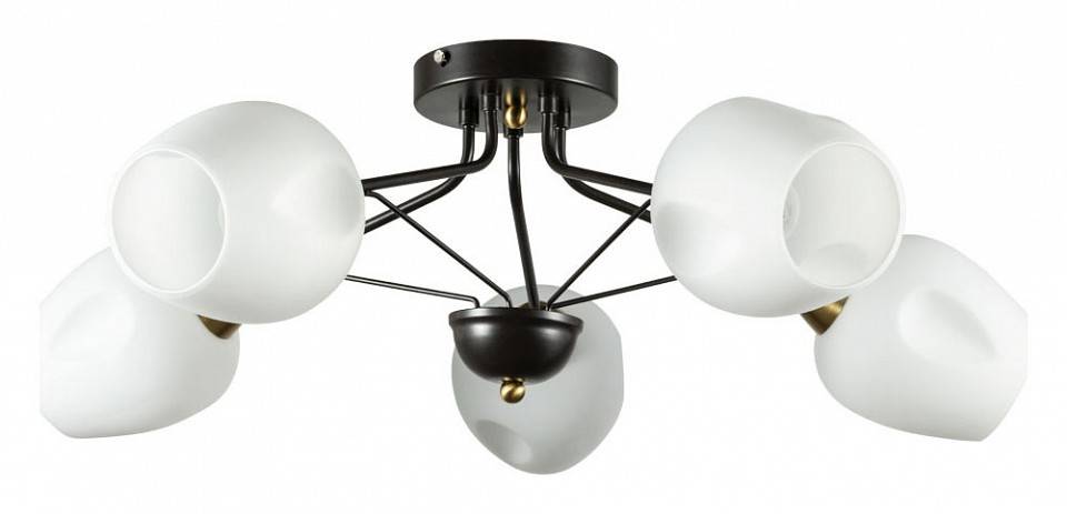 Потолочная люстра Arte Lamp Brighton 5 ламп A2706PL-5CK