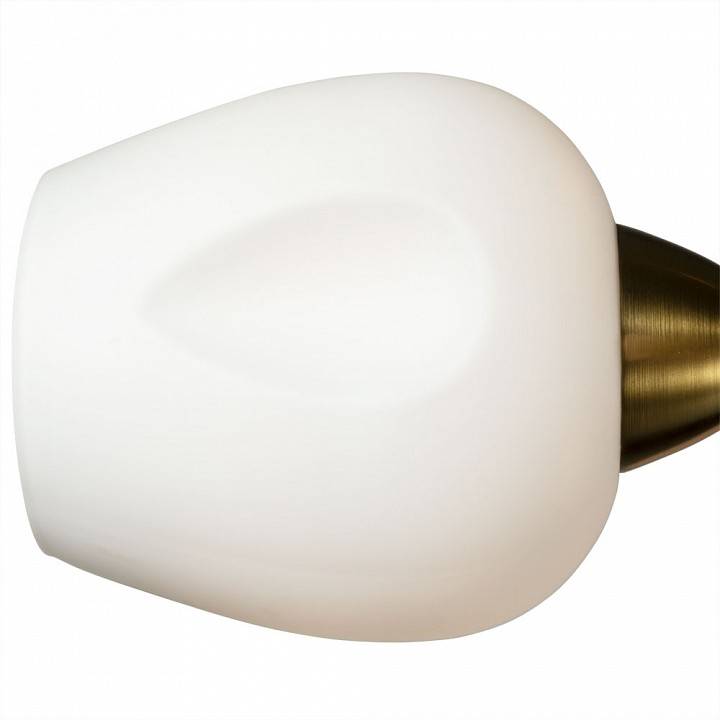 Потолочная люстра Arte Lamp Brighton 5 ламп A2706PL-5CK
