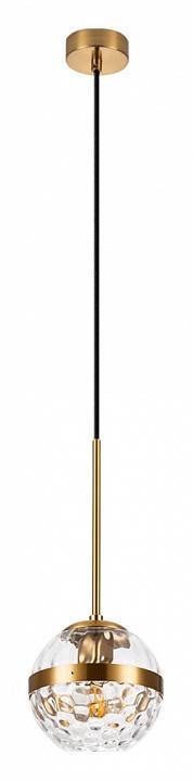 Подвесной светильник Arte Lamp Delacrua A7770SP-1PB