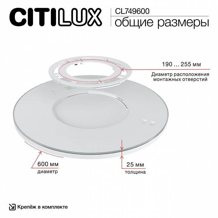 Накладной светильник Citilux NORMA CL749600
