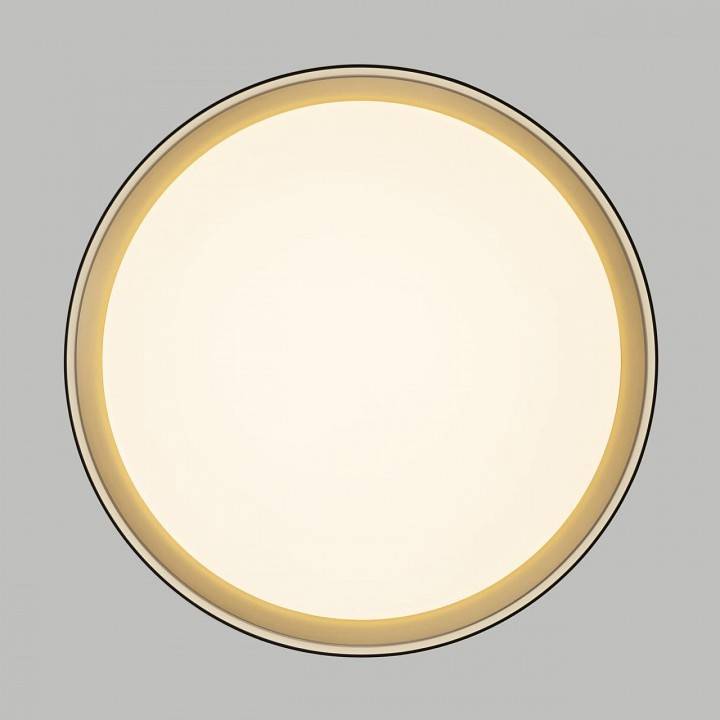 Накладной светильник Citilux BOSS CL751351G