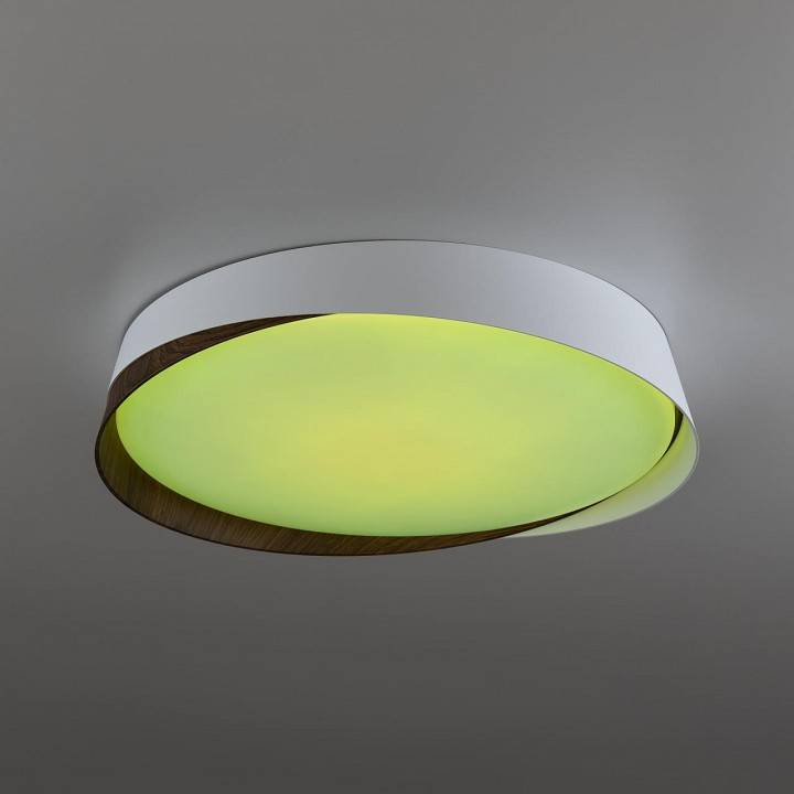 Накладной светильник Citilux BONNY CL754350G