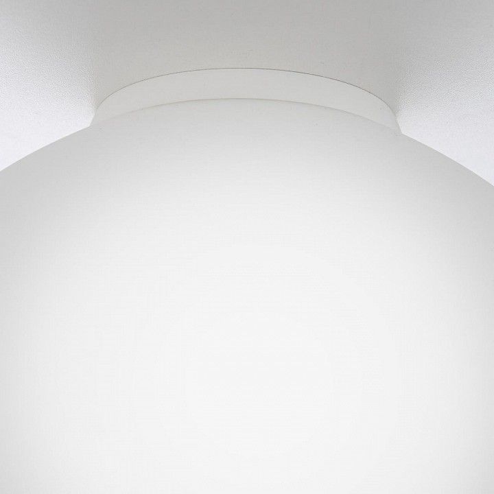 Накладной светильник Citilux RON CL941D25B0