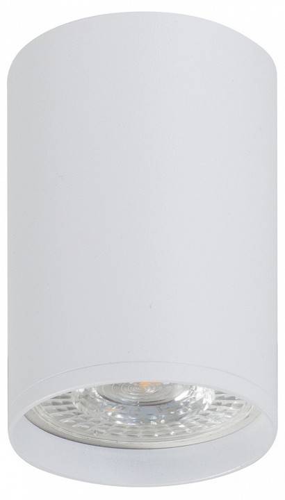 Накладной светильник Denkirs DK2000 DK2050-WH