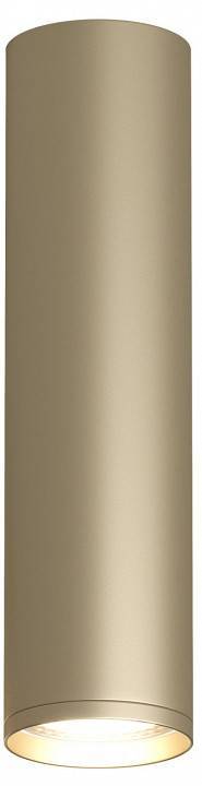 Накладной светильник Denkirs Tube DK2052-SG