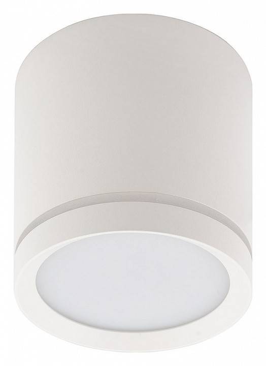 Накладной светильник Denkirs DK4016 DK4013-WH