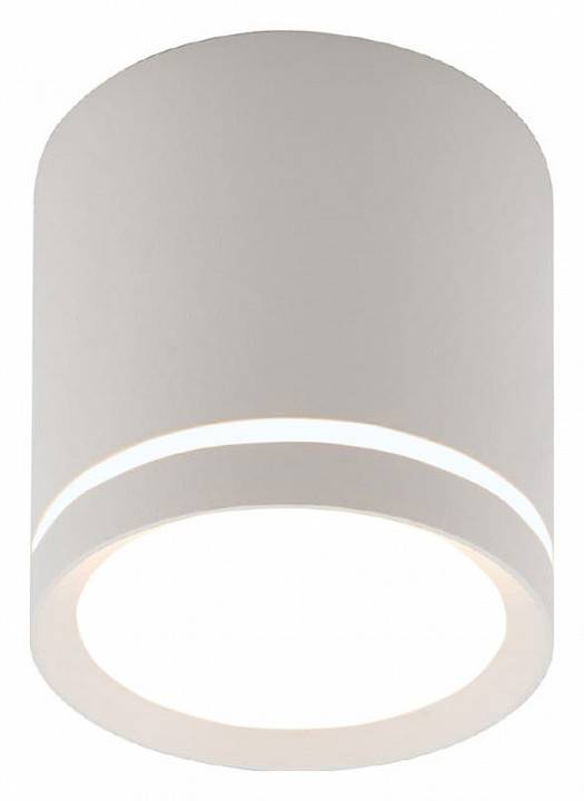 Накладной светильник Denkirs DK4016 DK4013-WH