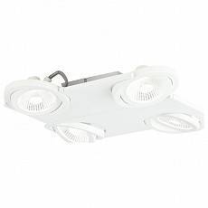 Накладной светодиодный светильник EGLO Brea 18 Вт 300 мм 39136