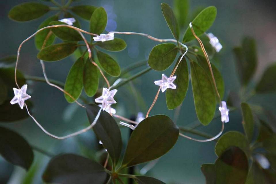 Гирлянда Нить Eglo Dew Drop 50LED на батарейках 411069