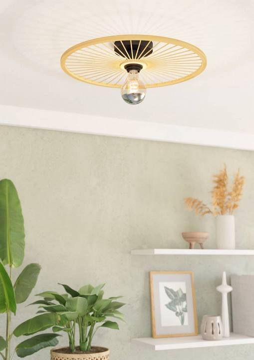 Накладной светильник Eglo ПРОМО Leominster 43883