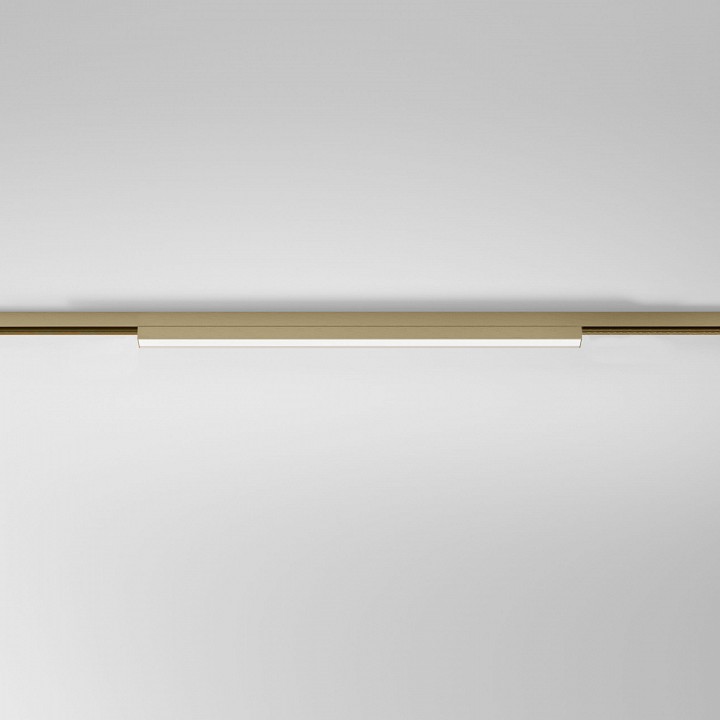 Накладной светильник Elektrostandard  85526/01