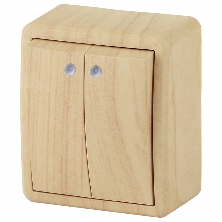 Выключатель двухклавишный с подсветкой Эра Эра Эксперт 11-1205-11