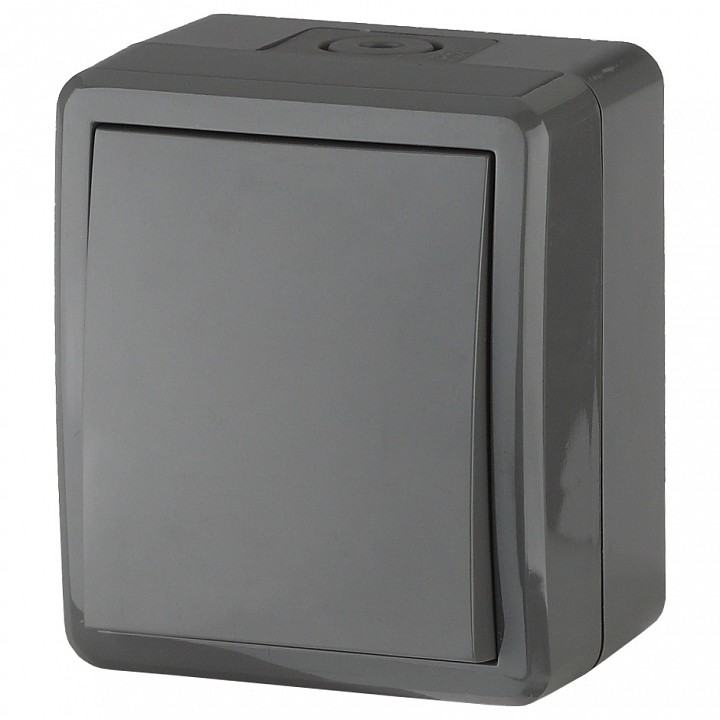 Выключатель одноклавишный Эра Эра Эксперт 11-1401-03