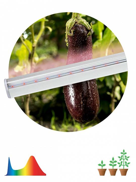 Светильник для растений ЭРА LLED-05-T5-FITO-14W-W 14 Вт 873 мм