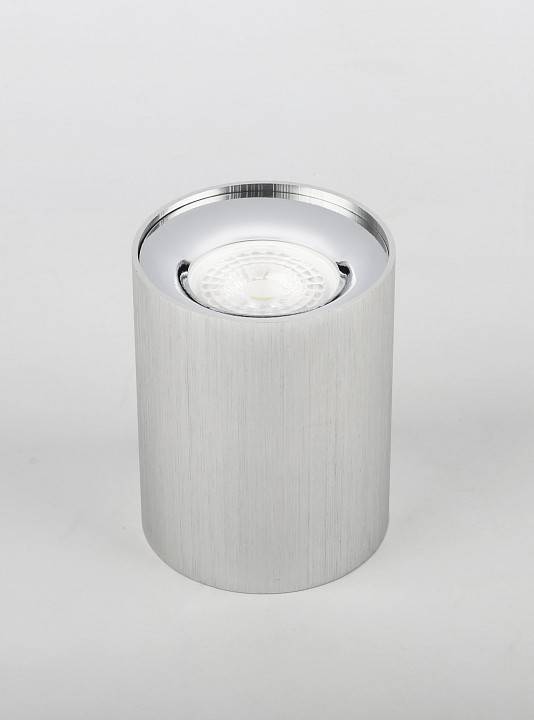 Накладной светильник Эра  OL1 GU10 SL/CH