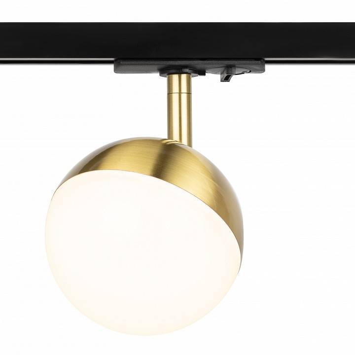 Светильник на штанге Эра  TR42-GX53 BS