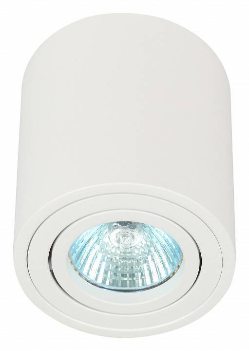 Светильник накладной ЭРА OL21 белый Б0054392