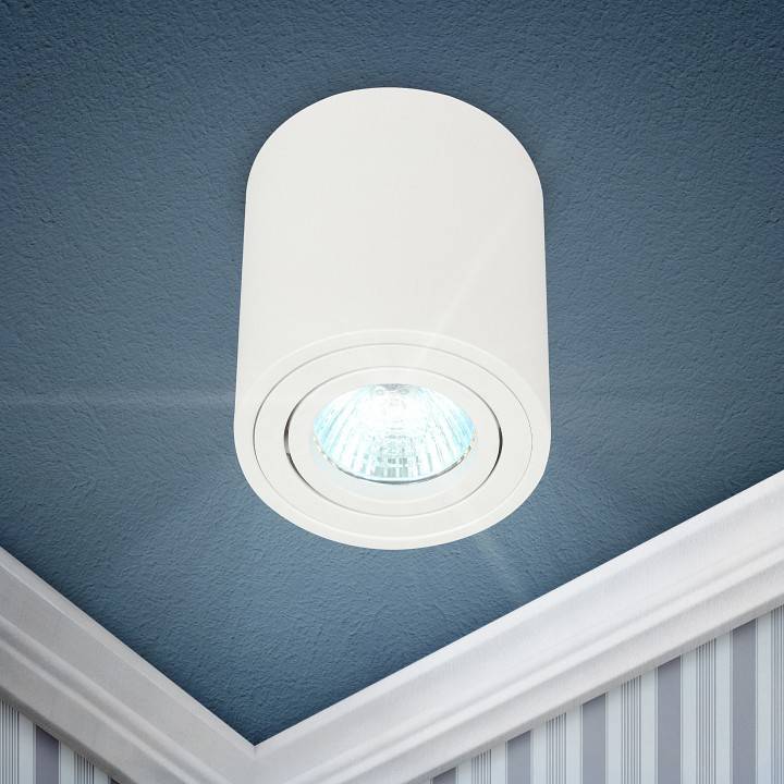 Светильник накладной ЭРА OL21 белый Б0054392