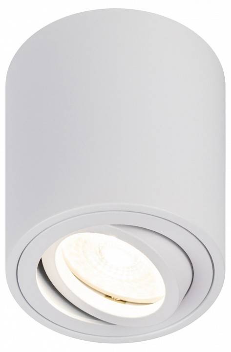 Светильник накладной ЭРА OL21 белый Б0054392