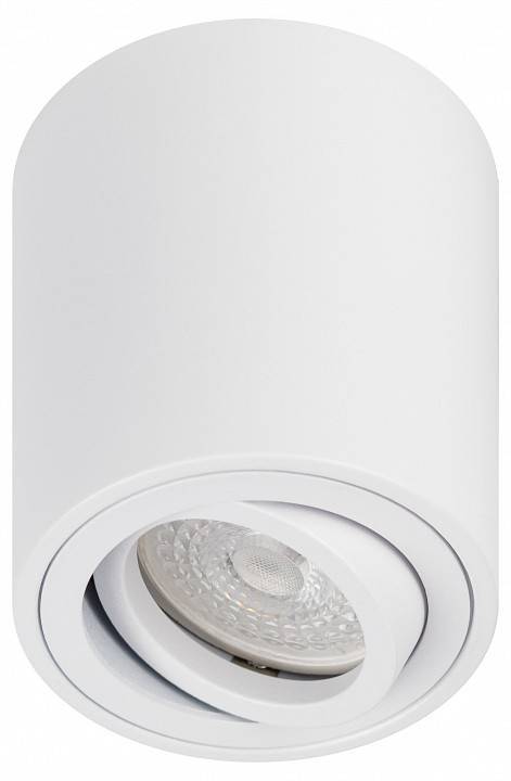 Светильник накладной ЭРА OL21 белый Б0054392