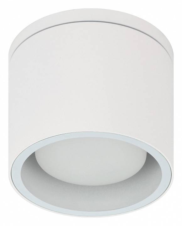 Светильник накладной ЭРА WL40 белый Б0054415