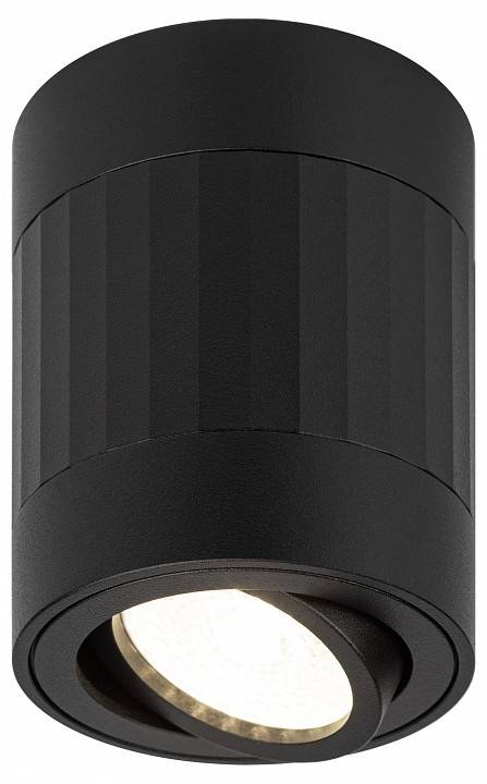 Светильник накладной ЭРА OL34 черный Б0056381