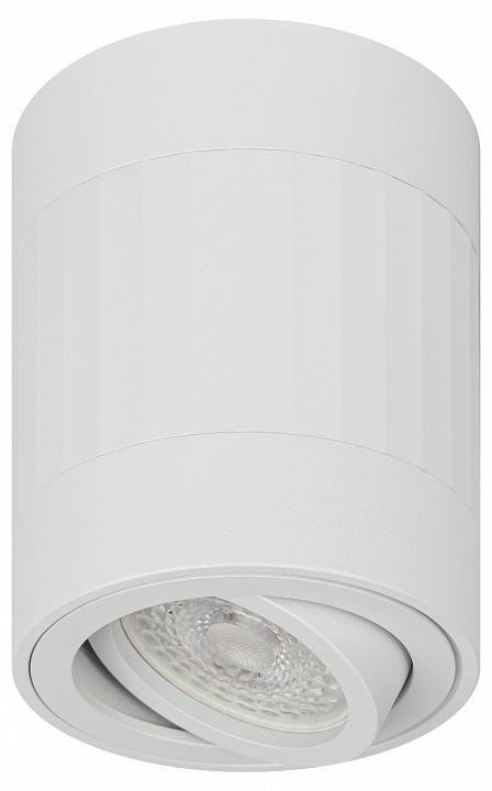 Светильник накладной ЭРА OL34 белый Б0056382