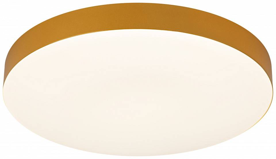 Накладной светильник ЭРА Relict 38 SPB-6-40 4К MG