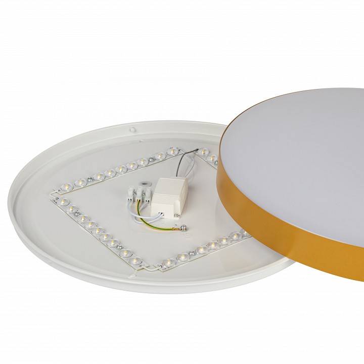 Накладной светильник ЭРА Relict 38 SPB-6-40 4К MG