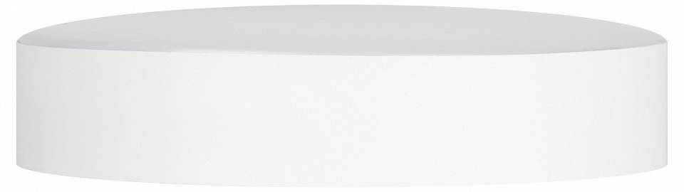 Накладной светильник Эра Relict Relict 22 SPB-6-20 4К WH