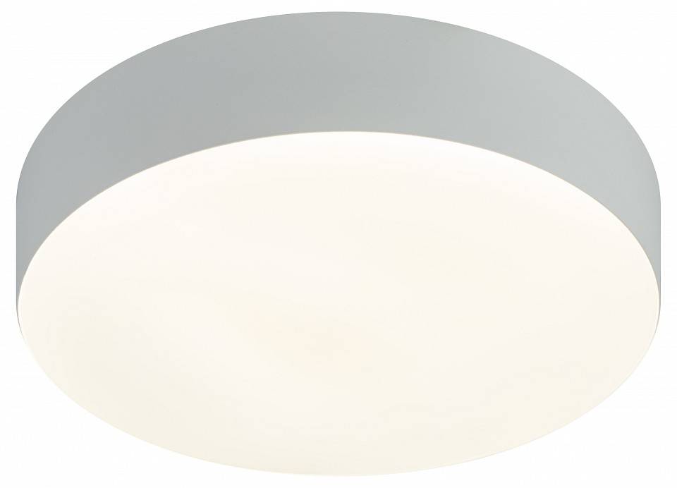 Накладной светильник Эра Relict Relict 22 SPB-6-20 4К WH