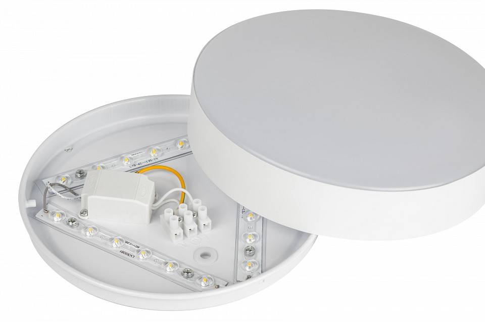 Накладной светильник Эра Relict Relict 22 SPB-6-20 4К WH